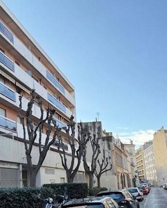 Elagage de 6 arbres en centre ville de Marseille