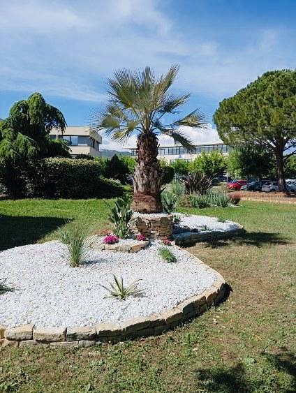 Création d'un jardin paysagé avec plantation de Palmier